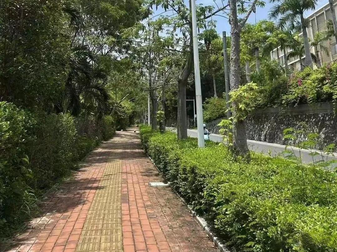 海南三亚一外地女游客被不明物咬伤身亡事件发生后。我注意到，当地多个小区为避免再次