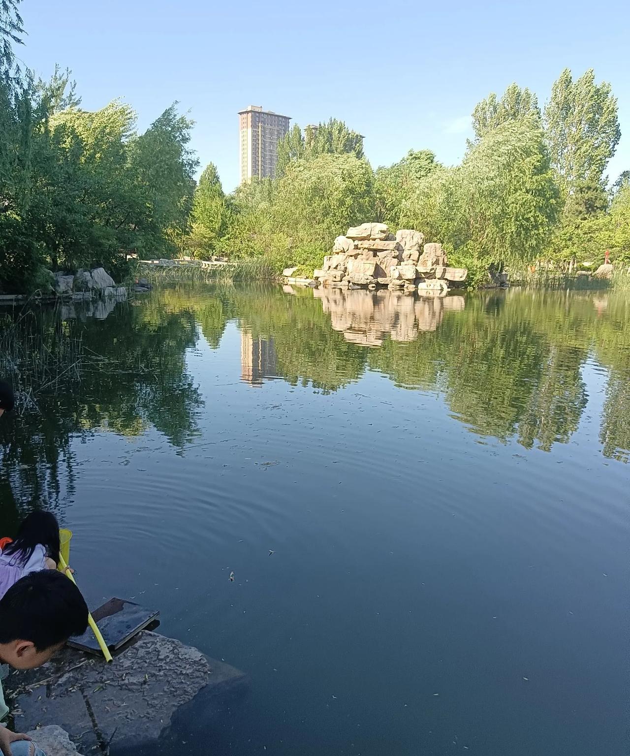 保定城乡结合部一个朝阳公园，非常漂亮惬意的休闲娱乐场所。
可能是这两年经费紧张，