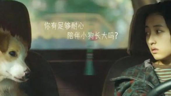 “有时候，生活就像一场雨，而你是那把最温暖的伞”——《我会好好的》影评