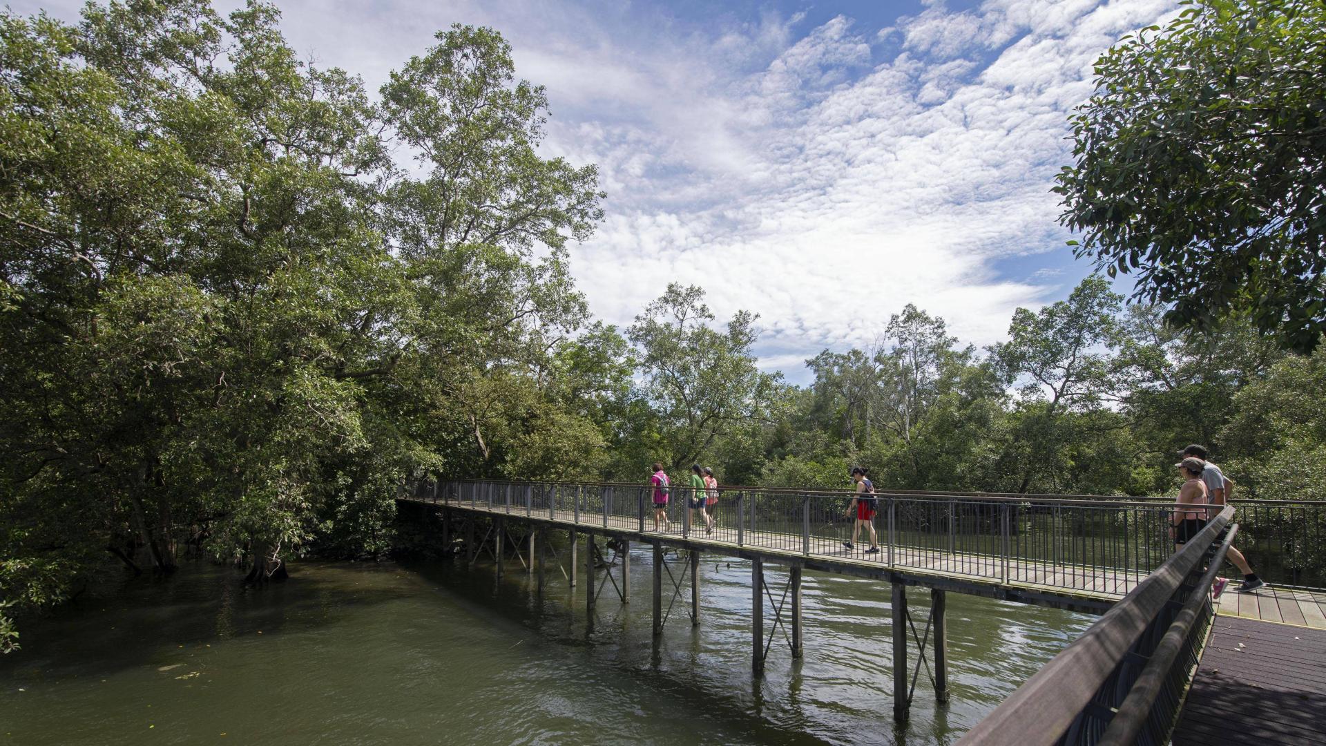 被甩锅的心理剧场：陷入“自证陷阱”委屈自己