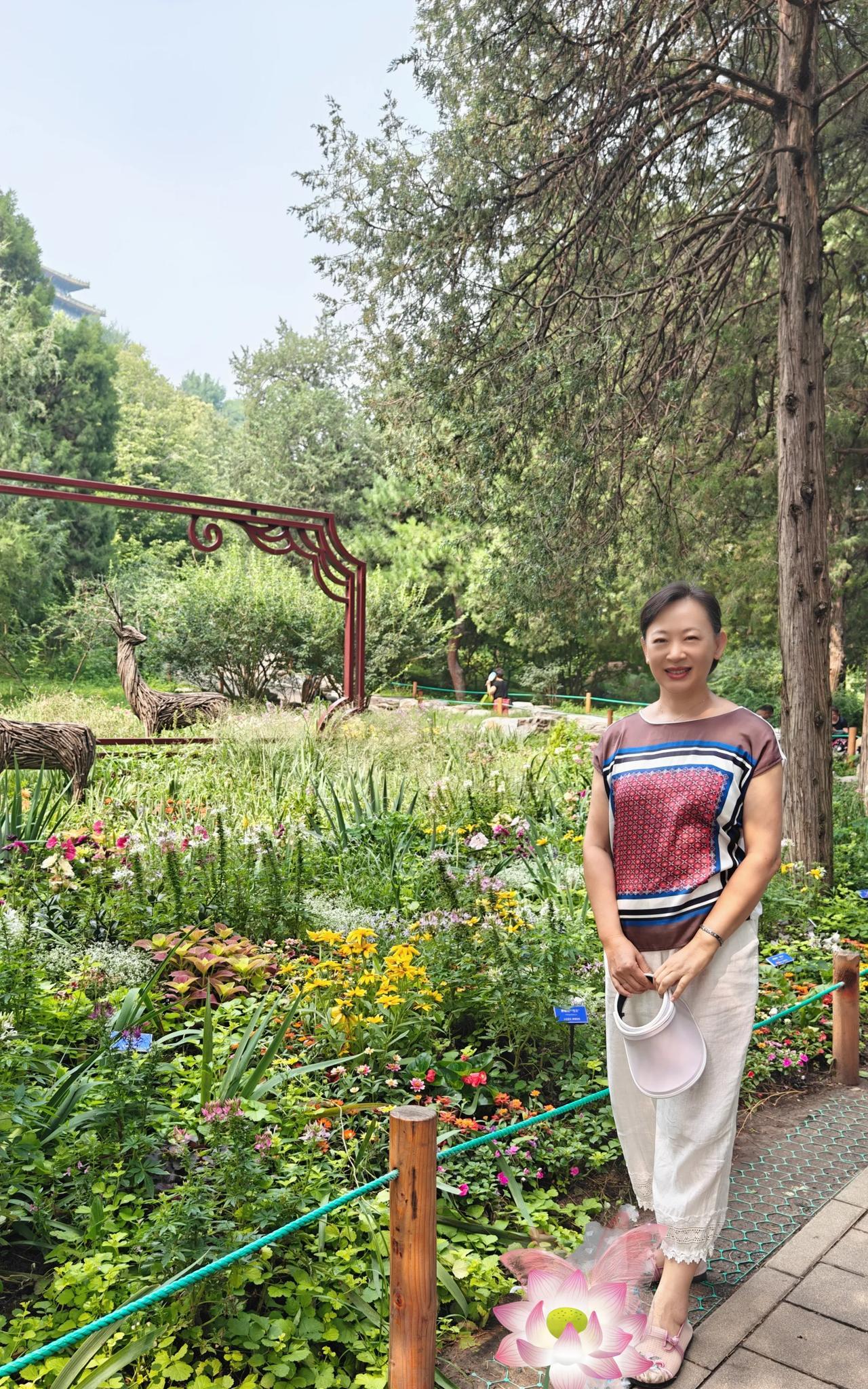 我俩一早来吃包子，抬头看到老张穿的这件上衣没见他穿过。
于是我开口问:谁给你买的