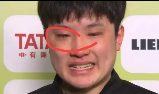 你们看不上的张本智和，有3点值得敬佩

1.人家本身就是日本培养出来的运动员，每