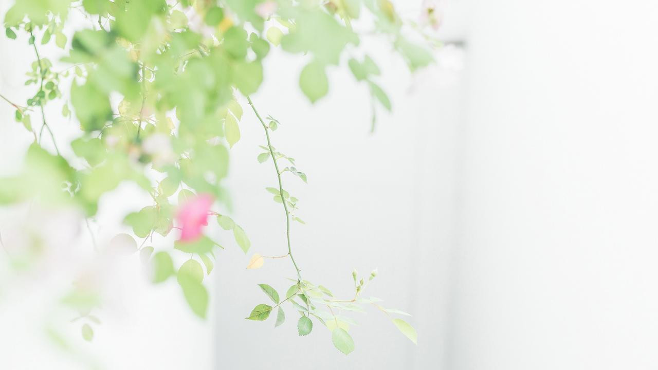 甜蜜军恋林阳《甜蜜军恋》林阳作为他们白细胞特战组的队长，可谓是战力天花板