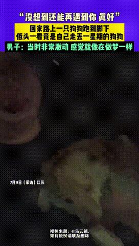 “真有灵性！”江苏，一男子的宠物狗走丢了一星期，四处粘寻狗启事也没找到，没成想男