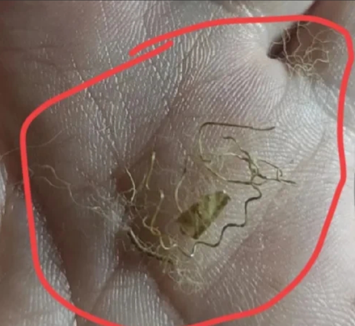 网购了一床薄被子，当时快到冬天了就没盖，前阵子才拿出来盖。晚上睡觉时老是感觉有东
