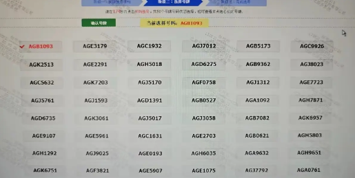 陈震的尊界S800终于交车了，
还兴致勃勃的去给新车上牌照去了，
没想到陈震这么
