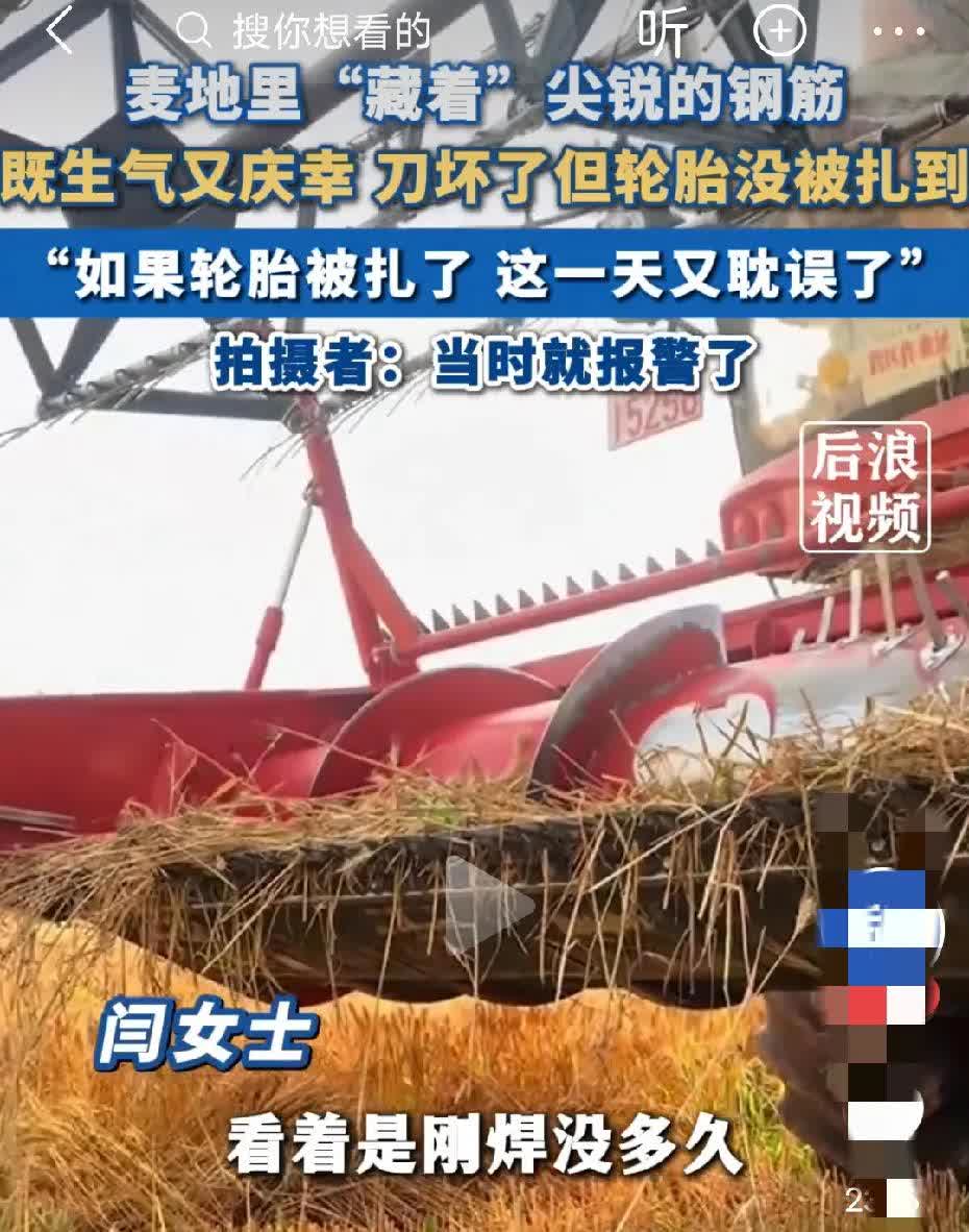 麦地里藏着凶器，现在有的人太坏了，
这位大哥在一村子里承包了35亩的土地，种植