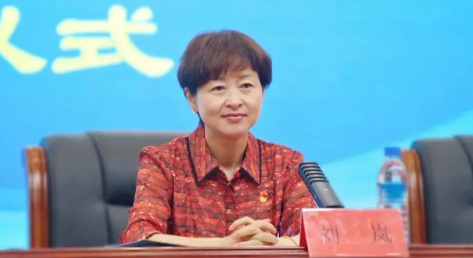 在落马4个月后，贵阳市原副市长刘岚被“双开”，同时立案审查调查。在已经查实的违法