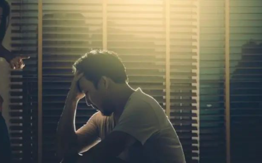 重生后，我的橘猫老伴杀疯了