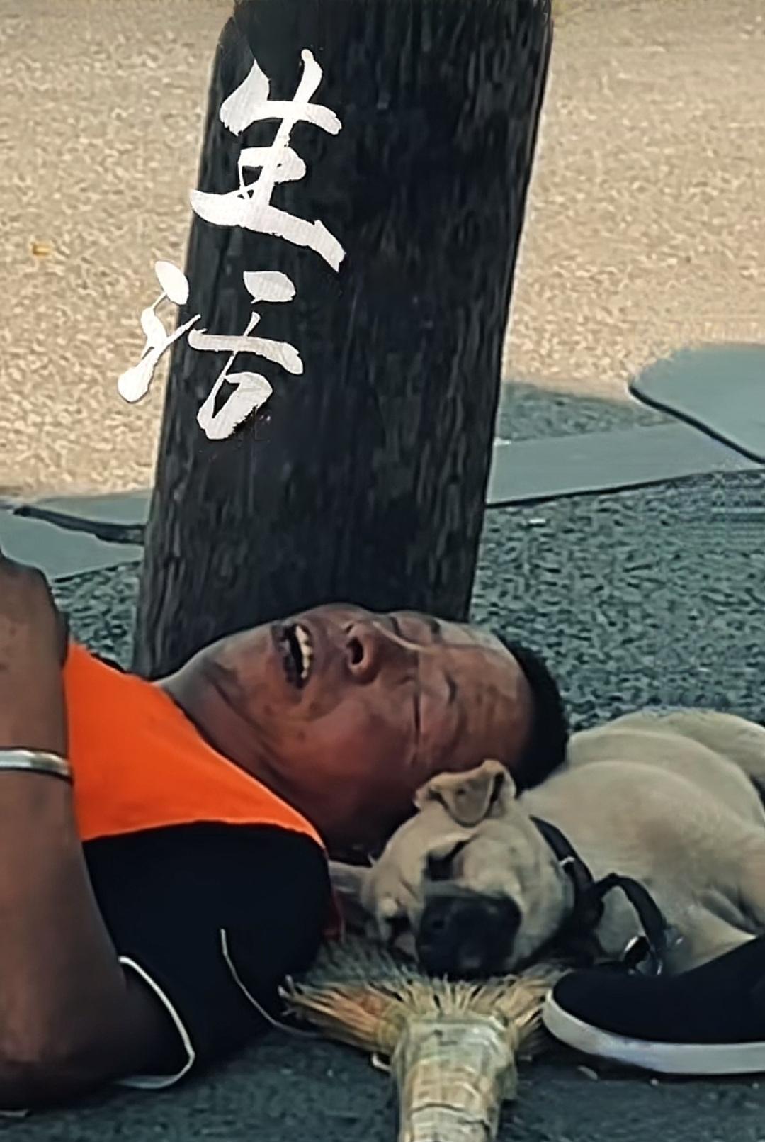 向您致敬
万家灯火时
你们已然战斗在一线
一人一狗一笤帚，生活就这样简单！无忧无
