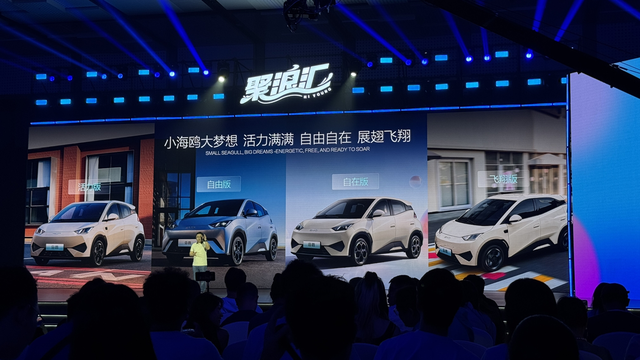 不常用驾驶辅助，你可以考虑海鸥这版本
海鸥迎来第100万车主之际，比亚迪推出自在