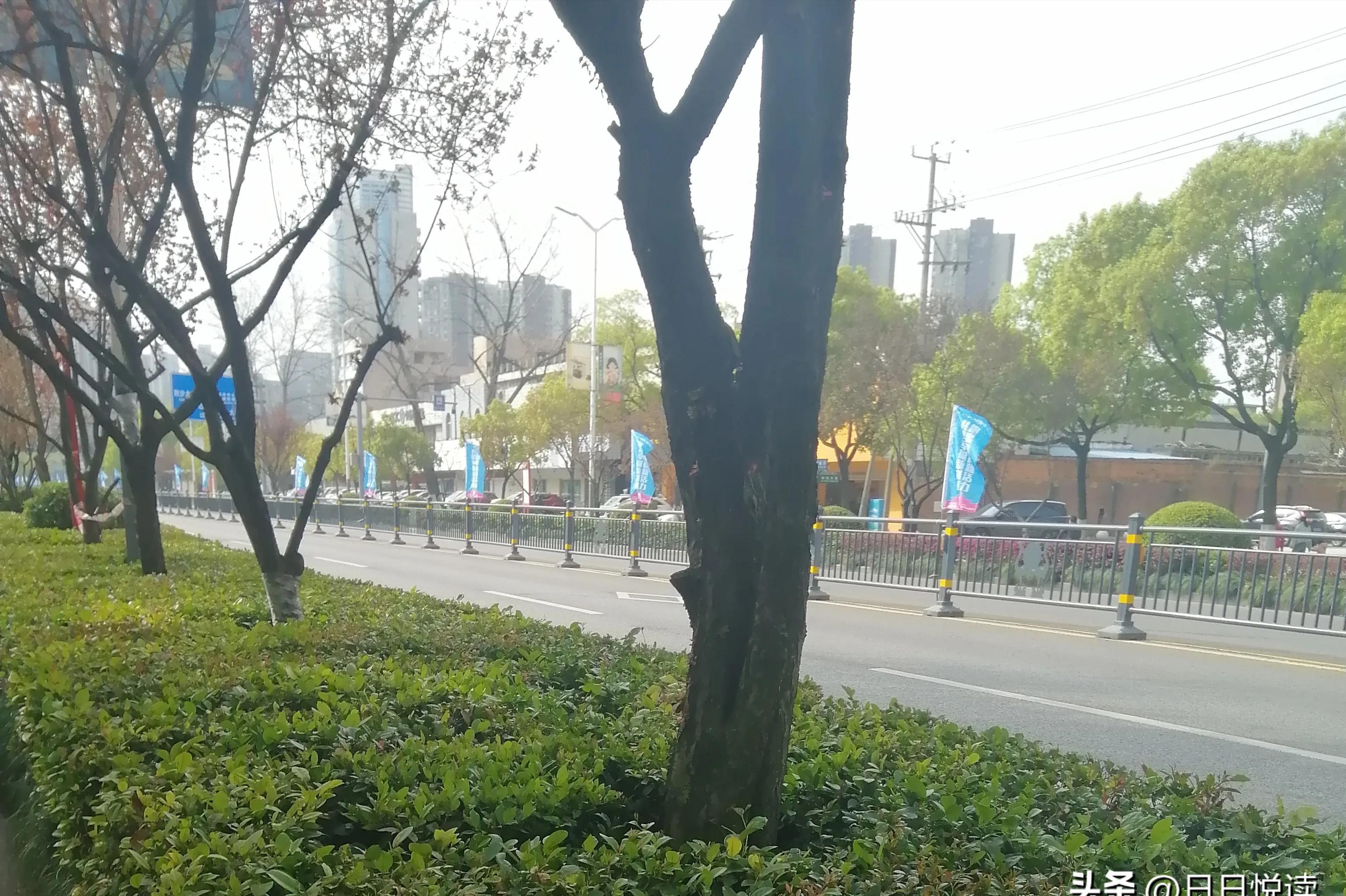 今日荆州举行马拉松赛事，市区部分道路实施交通管控。筹办一场马拉松需投入多少资金？