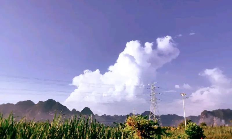刚才看了《仟悔录》的几个片段，对贪官有了新的认识。以前，我们对贪官恨得牙根痒痒，