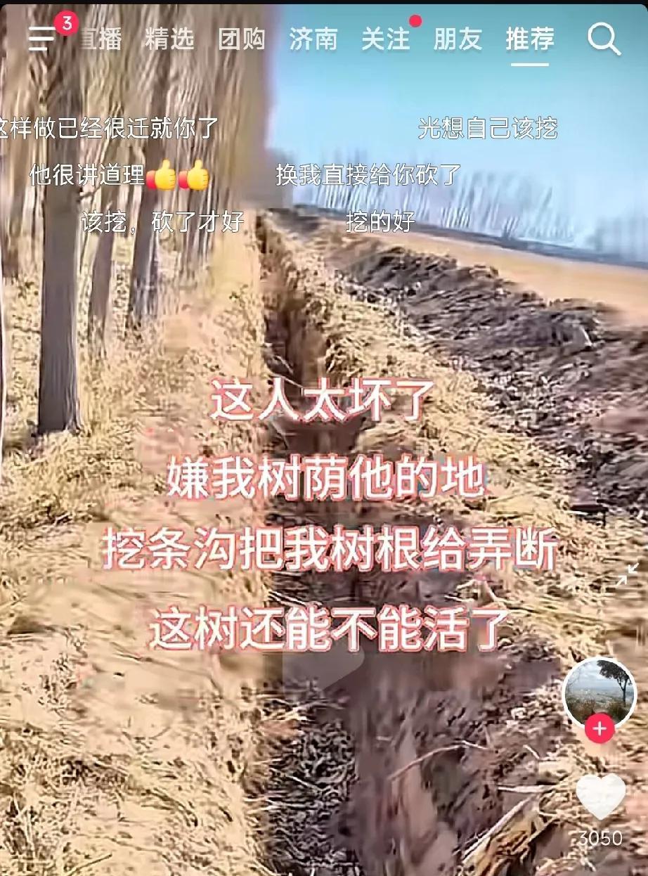 “不是谁发视频谁有理！”女子发视频吐槽: 邻居太坏了，嫌弃我家的白杨树荫他家的地
