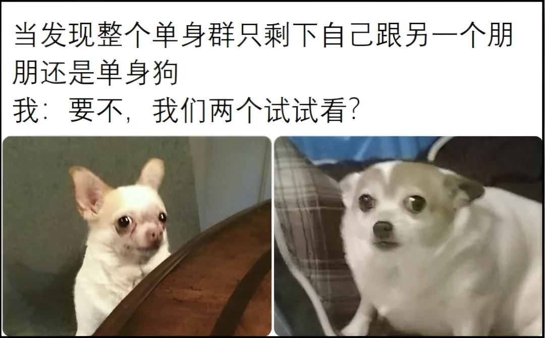我们两个试试看?