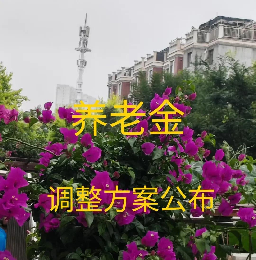 7月7日，人社部、财政部关于2025年退休人员调整养老金方案的通知公布了吗？
时