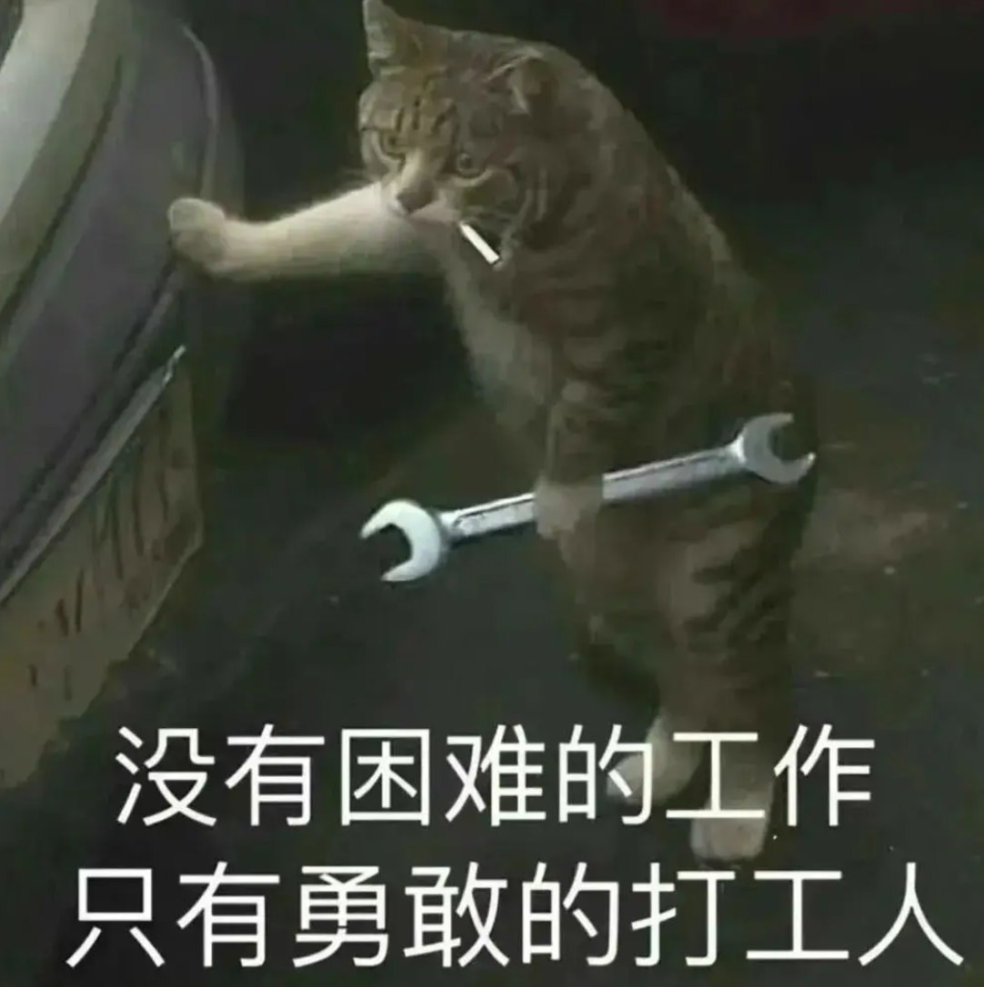 快起来工作，我先来，现在是凌晨2点