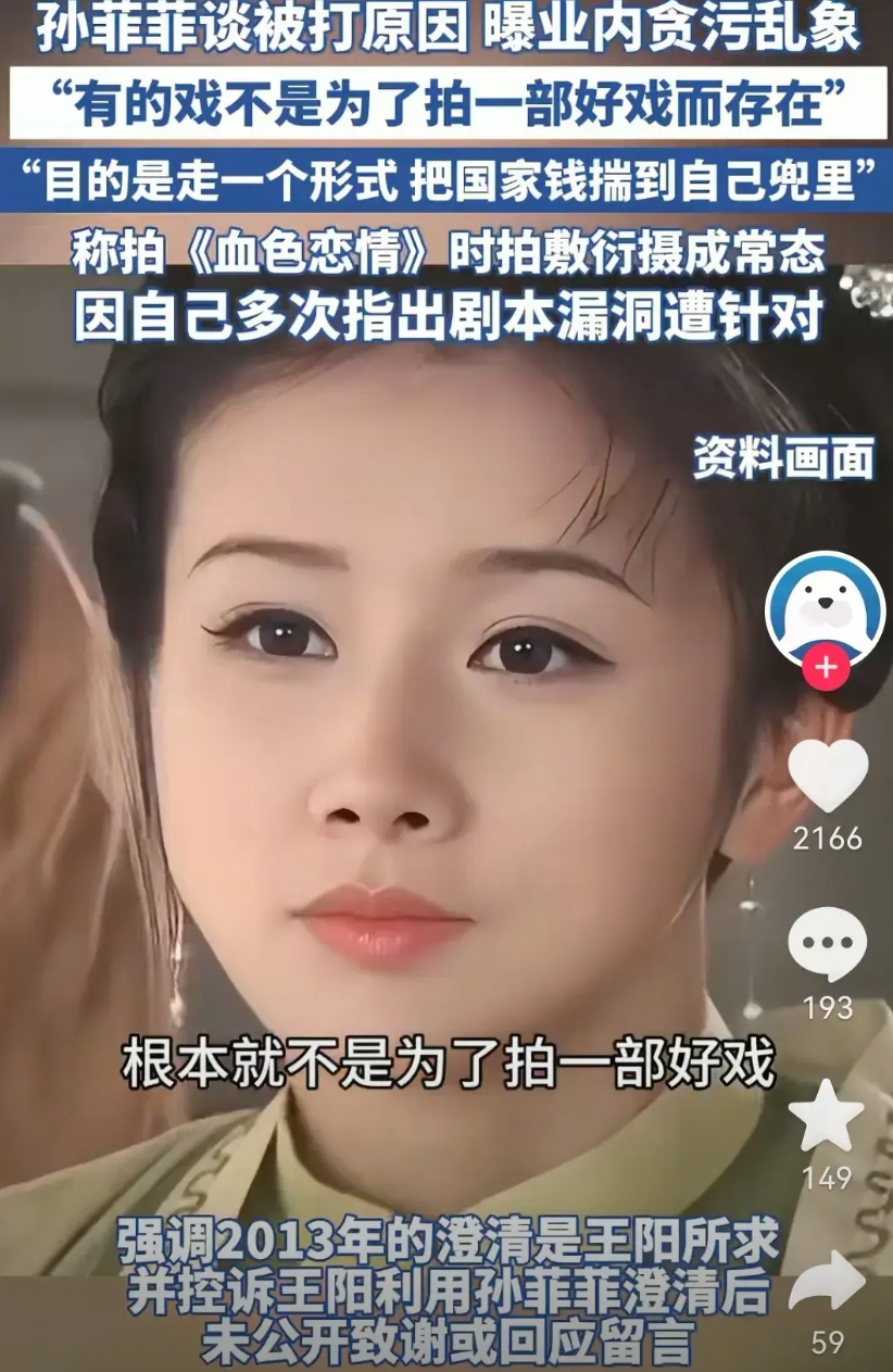 孙菲菲说“有的电影不是为了拍一部好戏，只是走一个形势，把国家的钱转进自己口袋里”