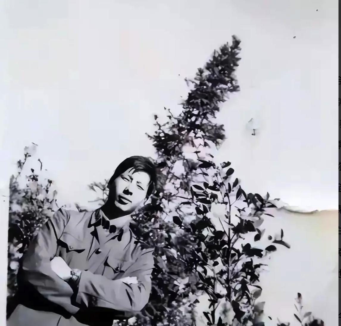 1979年，对越反击战中，何源海中弹牺牲，谁知两年后，他却活着回村，村民们一脸错