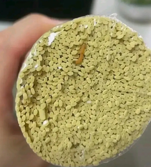 一女子，在超市买了包挂面，她打算煮面吃时，发现面的底部竟夹着一只虫子