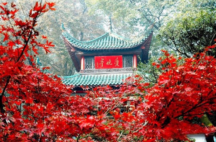双节忆湘：糖油粑粑映圆月，岳麓枫红照家国
国庆与中秋携手而去，留下满地月光与倩影