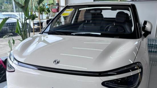 纯电小车市场新选择：深度解析东风纳米01真实竞争力