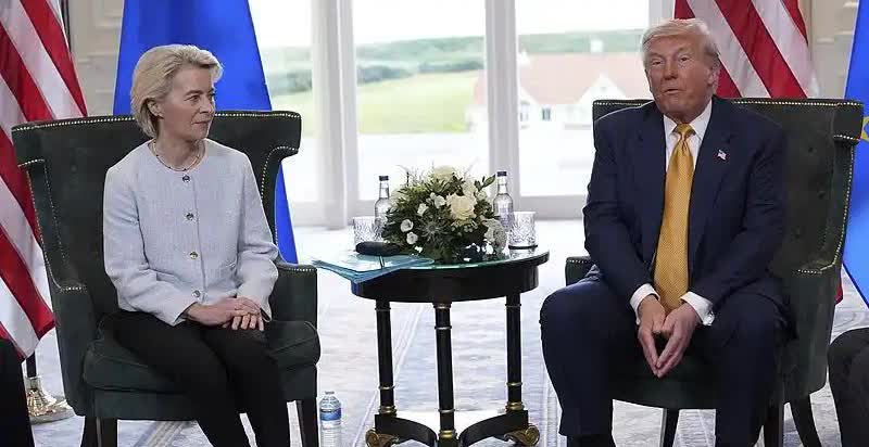 欧洲果然有聪明人，认为冯德莱恩出卖了欧盟利益，并强调冯德莱恩的“握手协议”不具法