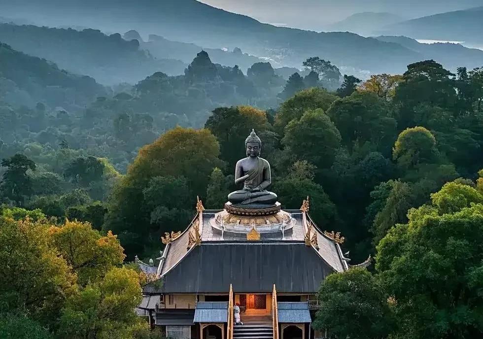 这几年的变化简直绝了！2019年像是个关键的分割线，之后几年懵懵懂懂在过渡，到2