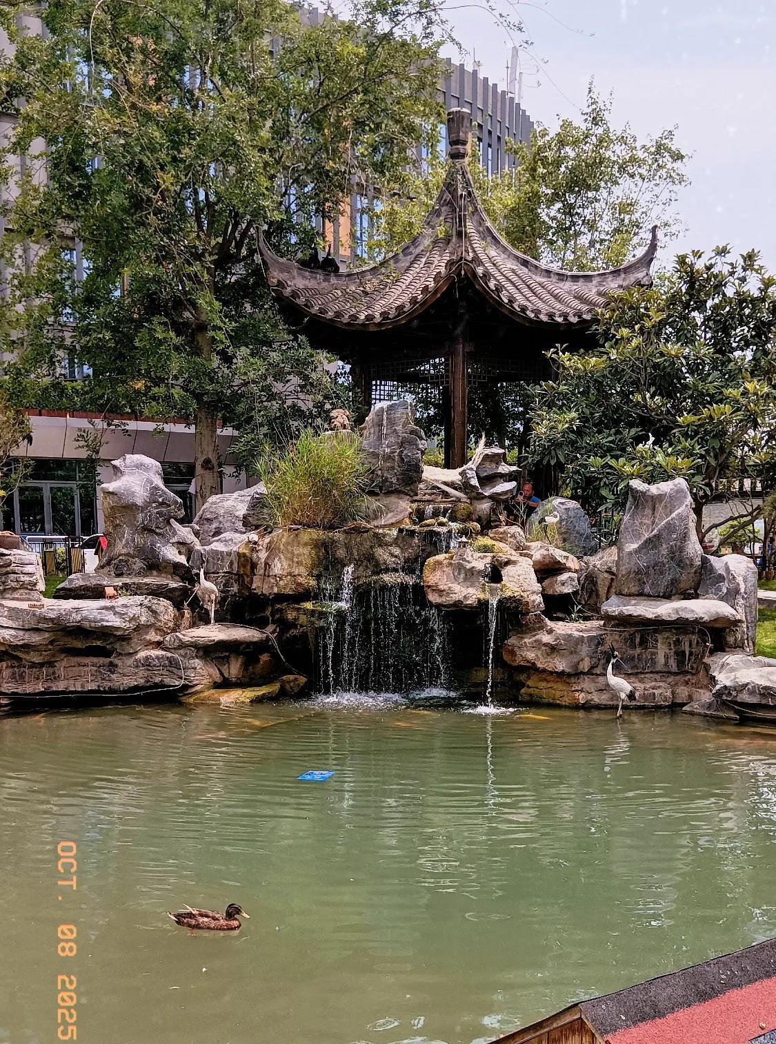 被下面这段话深深地打动了！好向往这样的婚姻生活！
夫妻是战友，不是对手。
年轻时