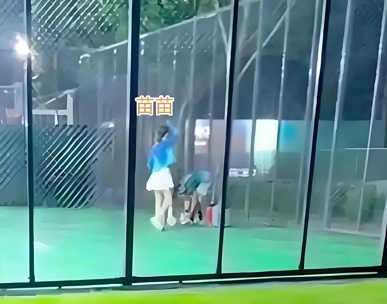 2025年7月26日，苗苗在社交平台分享打网球视频时意外被球击中面部，瞬间捂脸蹲