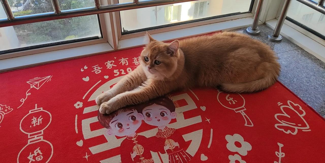 把人性的裤衩子扒光了的话？
1.人敬富，狗咬贫，落魄之人看清人
2.社会不相信眼