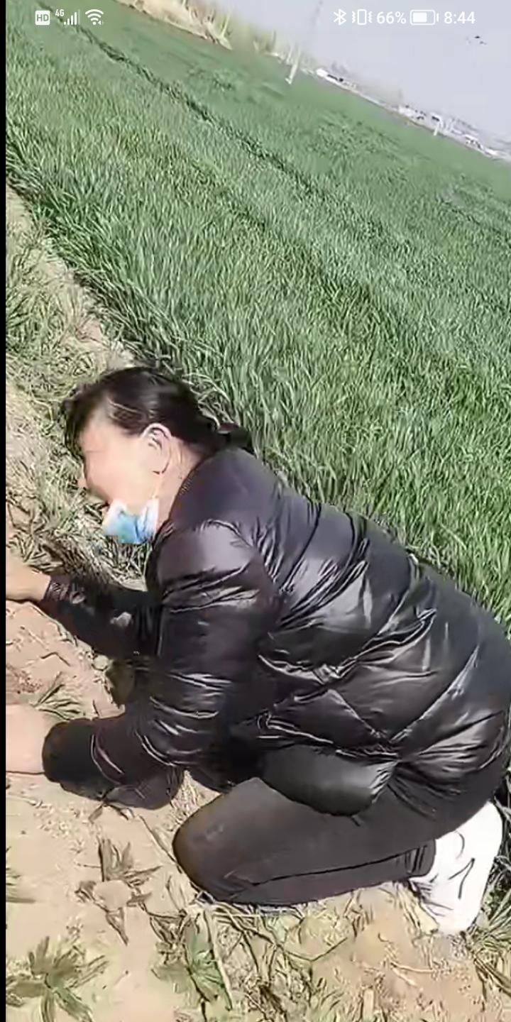 泪奔，丈夫离世一年后，突然托梦给妻子说：都快中秋节了，你把我丢在野外也不来看我了