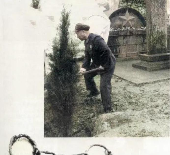 “就是这里，他们把人埋得不深，肯定好挖。”这是1982年，重庆一处偏远乡村发生的