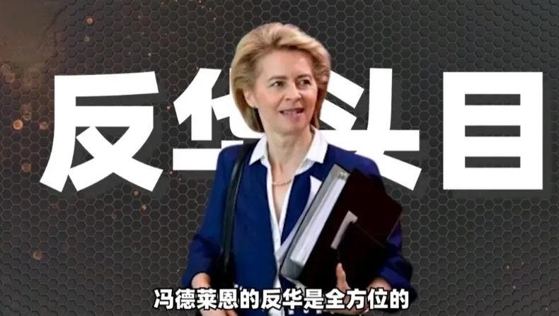 小姐的派头，丫鬟的命
冯德莱恩、科斯特等一帮欧洲政客在日本刚刚谈完两国之间的双边