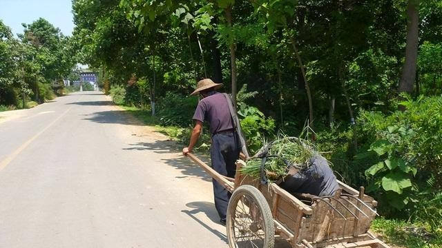 80年父亲重病，医生说没救了，赤脚医生路过说让他试试，不要钱