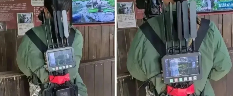 今天爬山遇到的，她背的是什么？有人知道吗？