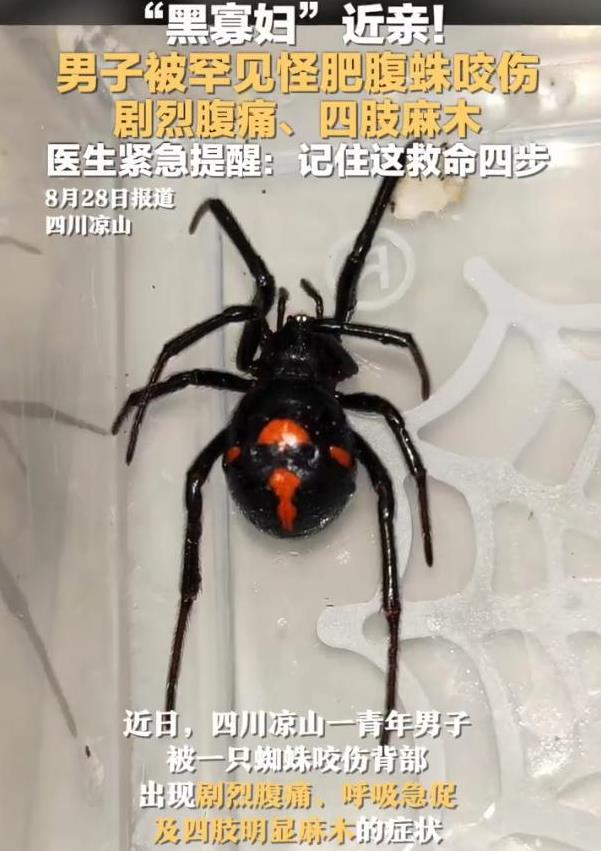太吓人了！四川凉山，一年轻男子在外面干活，突然背部感觉刺痛一下，他扭头一看，发现