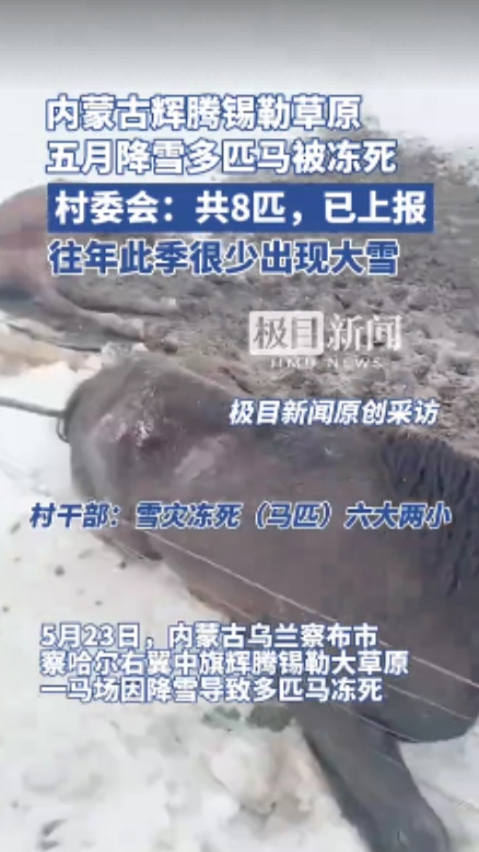 这下后悔了吧！”5月23日，内蒙古一马场突降暴雪，导致牧民8匹马被冻死，其中有一
