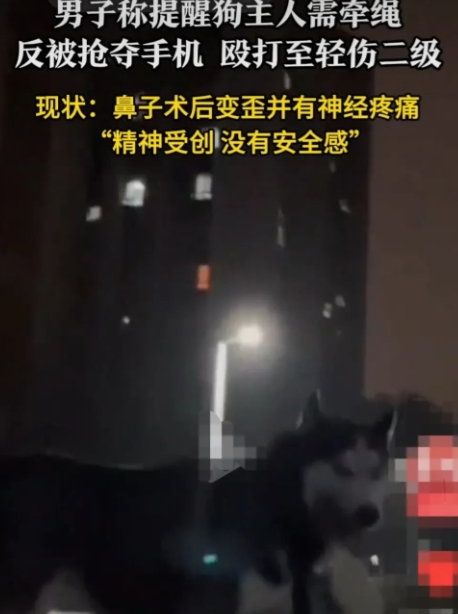 重庆，傍晚，男子在小区里散步，遇见一女子带着两只狗，在小区里没有拴绳遛狗。
男子