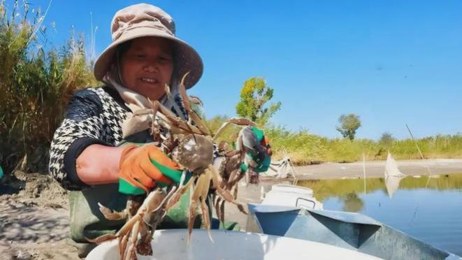 新疆远离大海，却成为中国西北的“海鲜”主产地，是如何办到的？