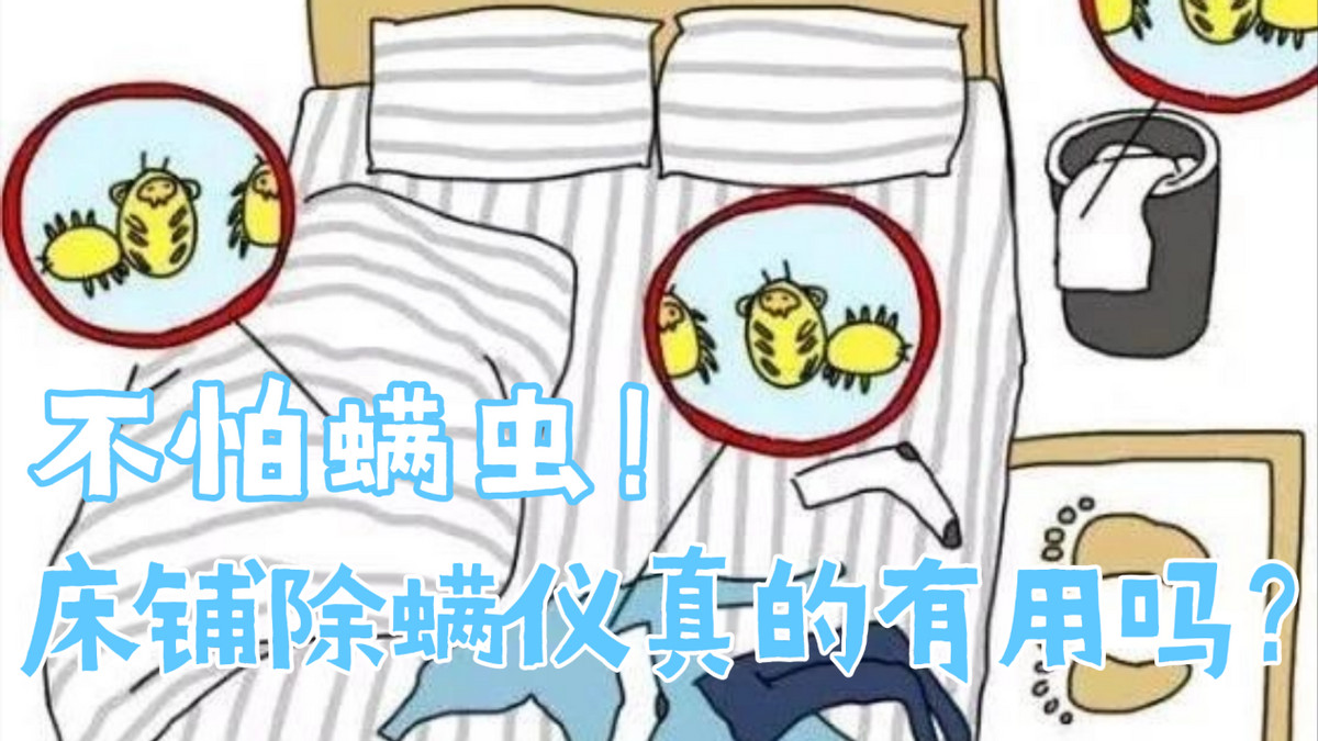 哪个除螨仪性价比高又好用推荐？床铺除螨仪真的有用吗？2026年最推荐的十款家用除螨仪品牌，码住不踩雷