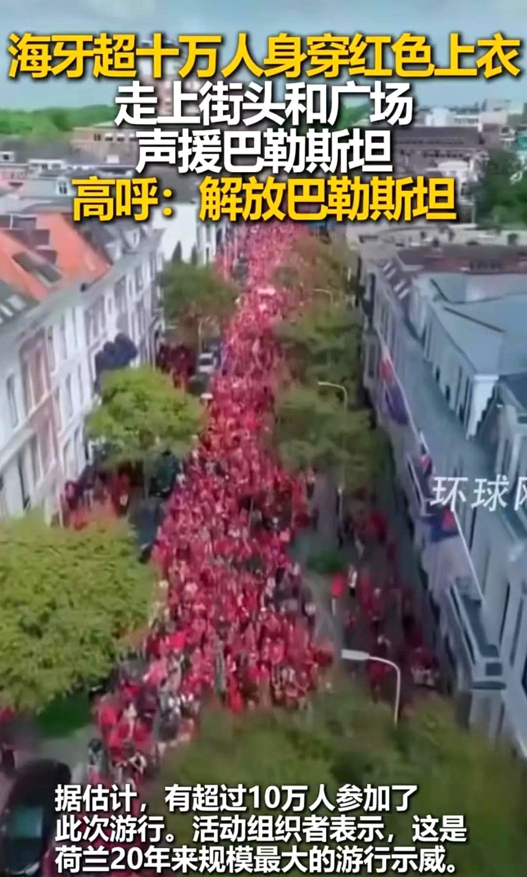 荷兰人怒了，十万人上街抗议











---










