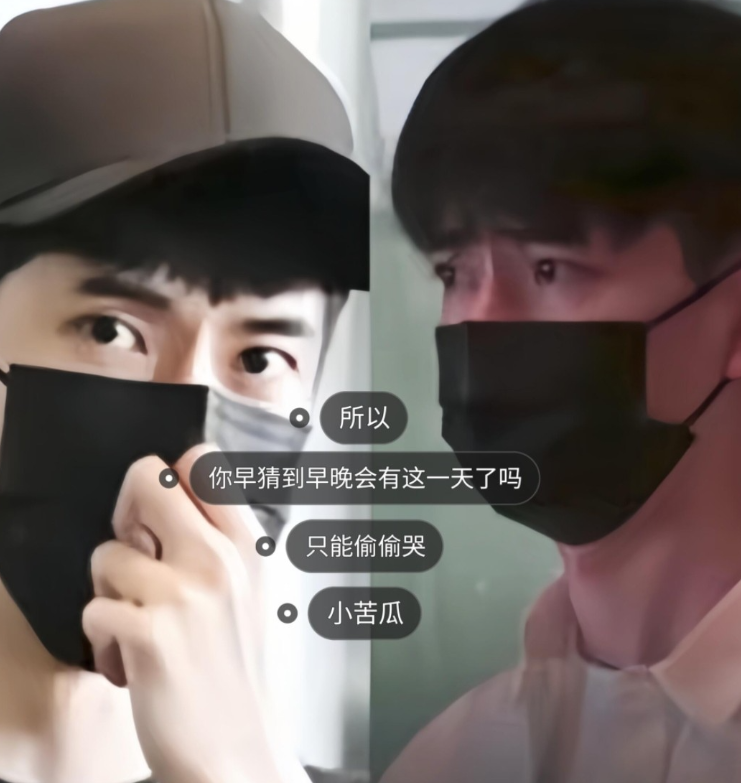 所以，你一定早就猜到了，早晚有这么一天了吗？只能偷偷的哭，机场这次为什么不反抗，