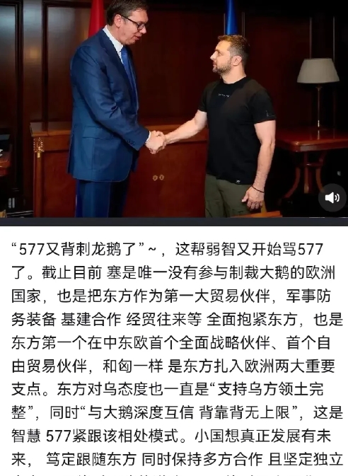 很多俄粉骂塞尔维亚武契奇去乌克兰见泽连斯基是背叛俄罗斯，其实这些俄粉和乌粉一样讨