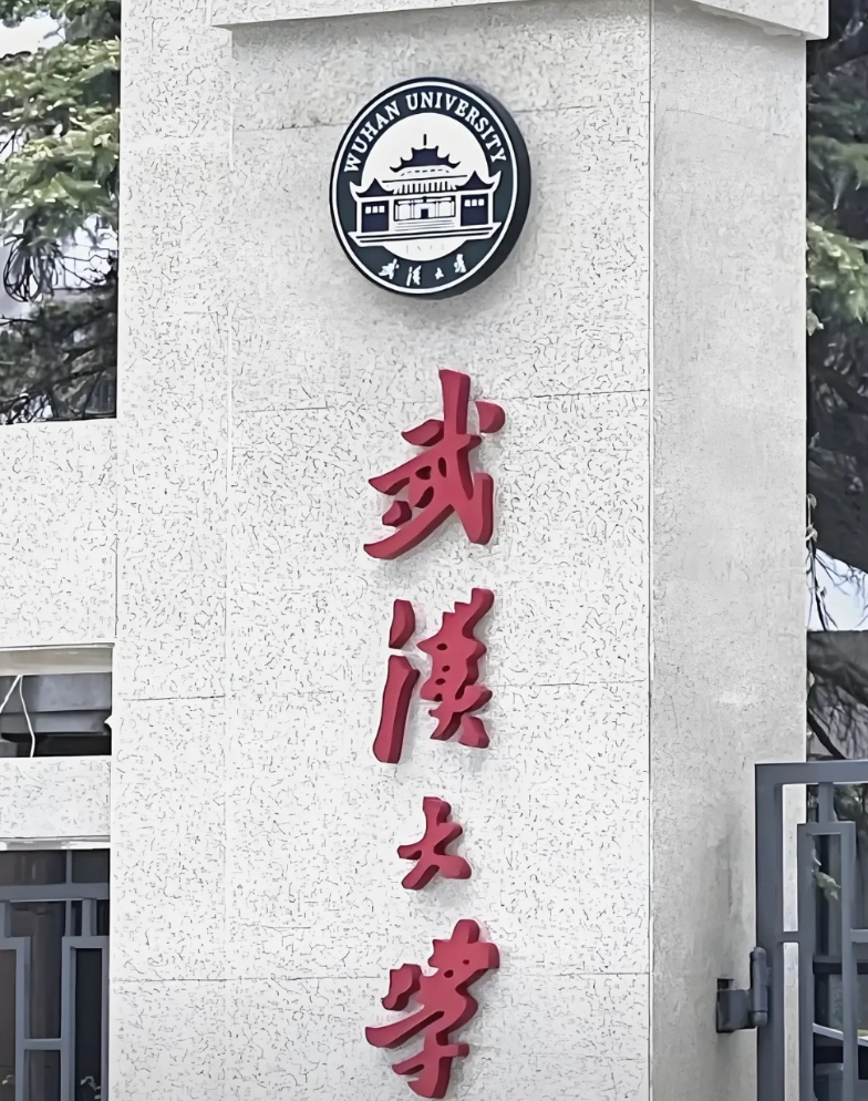 武汉大学最近几年很出圈。
先是一个毕业生，依靠和副校长的裙带关系，从艺术生，一步