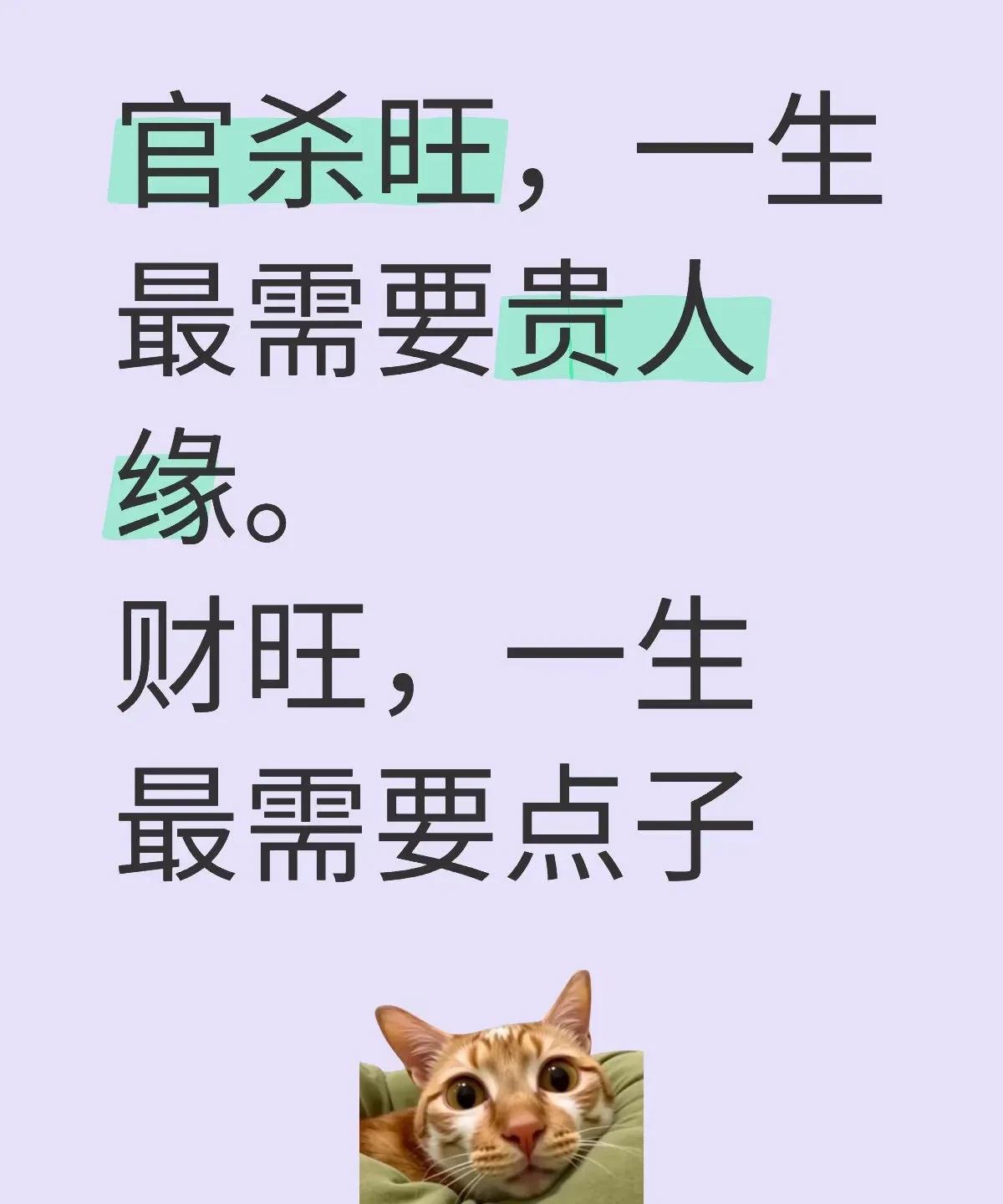 官刹旺，财旺各取所需
官杀旺，一生最需要贵人缘。
财旺，一生最需要点子、财机。