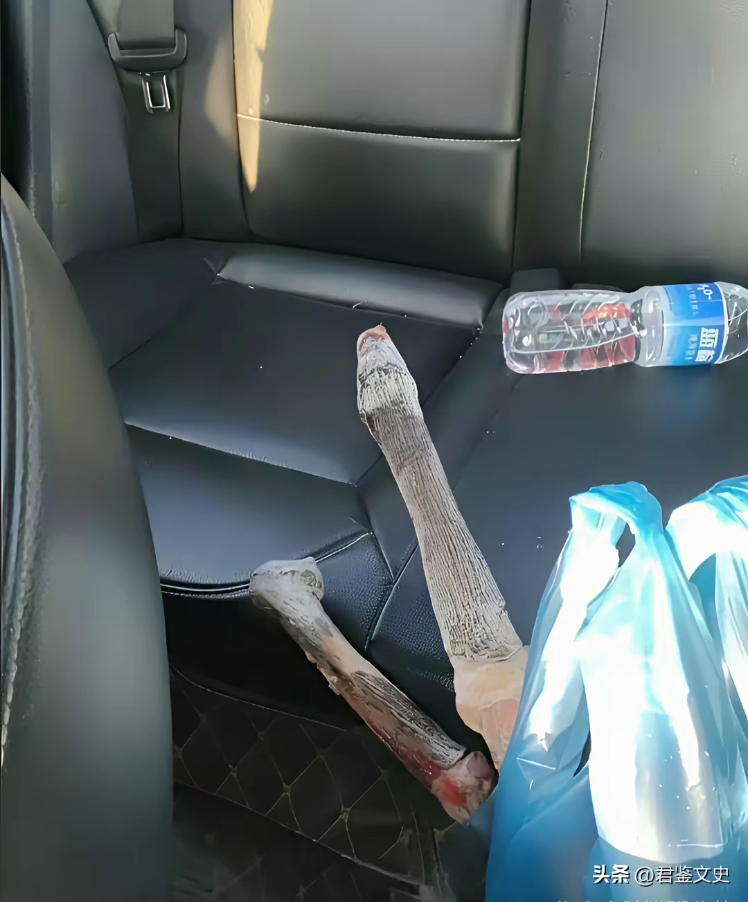 打滴滴的时候看到了这个，现在下车还来得及吗