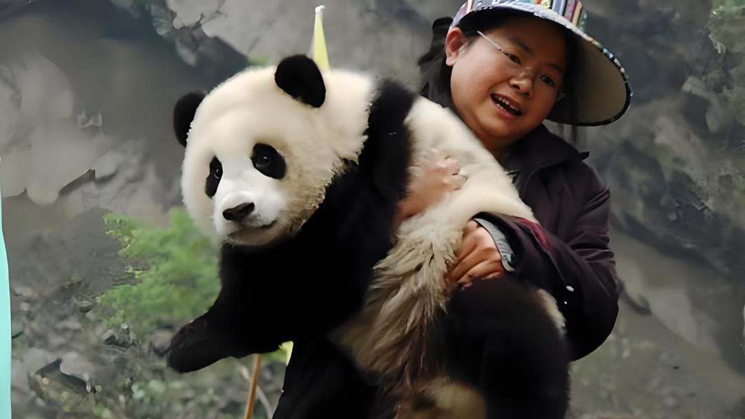 当年汶川大地震，他们舍命救熊猫，生死时速下转移63只大熊猫！