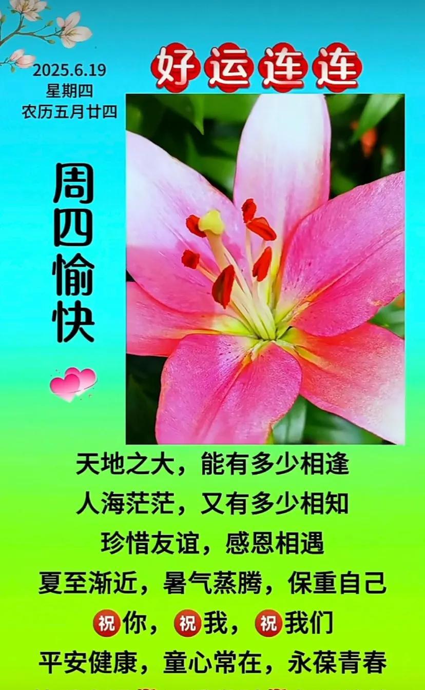 #夏日安康# 周四周愉快，祝你天天开心！