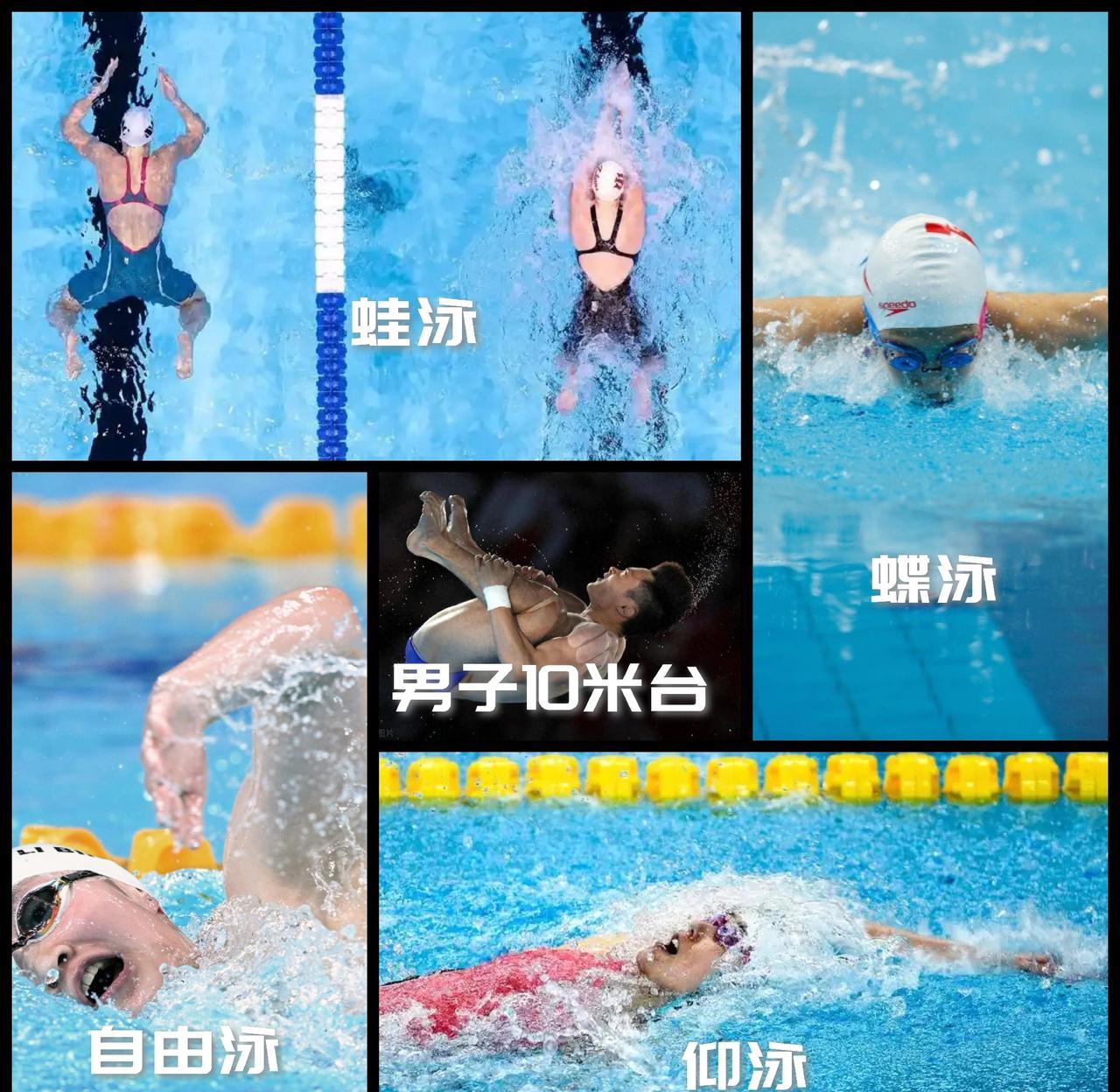 【新加坡游泳世锦赛明日收官！包括八项游泳决赛加男子10米台跳水决赛！】
17:3